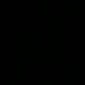 Meet your Posher, Isabel